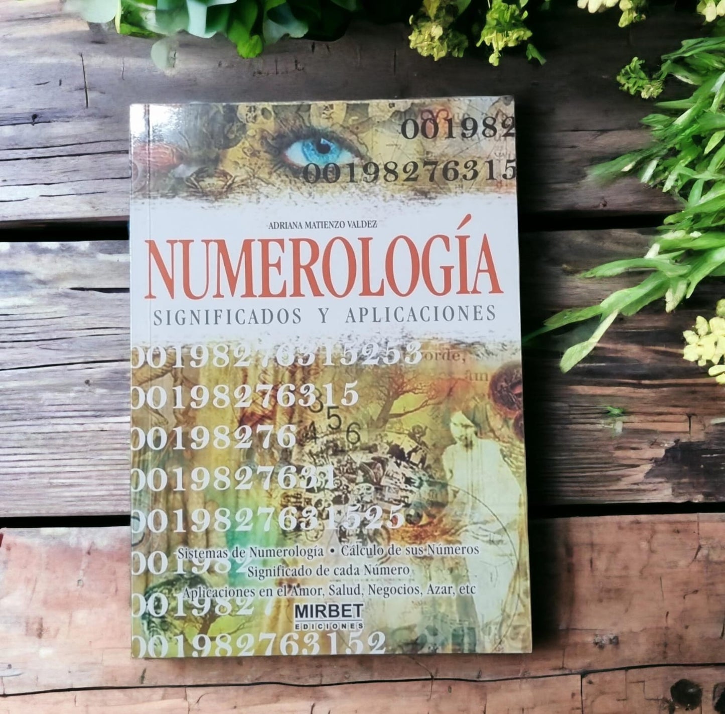 Numerología Significado y aplicaciones