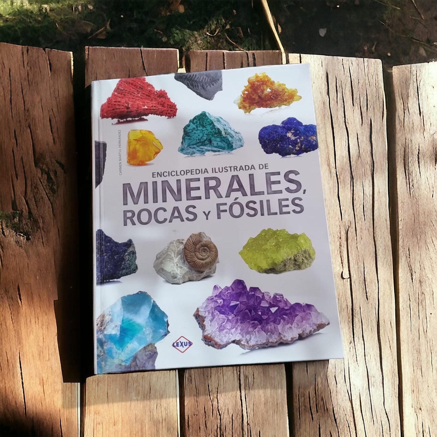 Enciclopedia Ilustrada Minerales, Rocas Y Fósiles